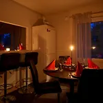 Charming House Near The Tatil Evi Rovaniemi