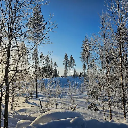 Semesterbostad Charming House Near The Rovaniemi
